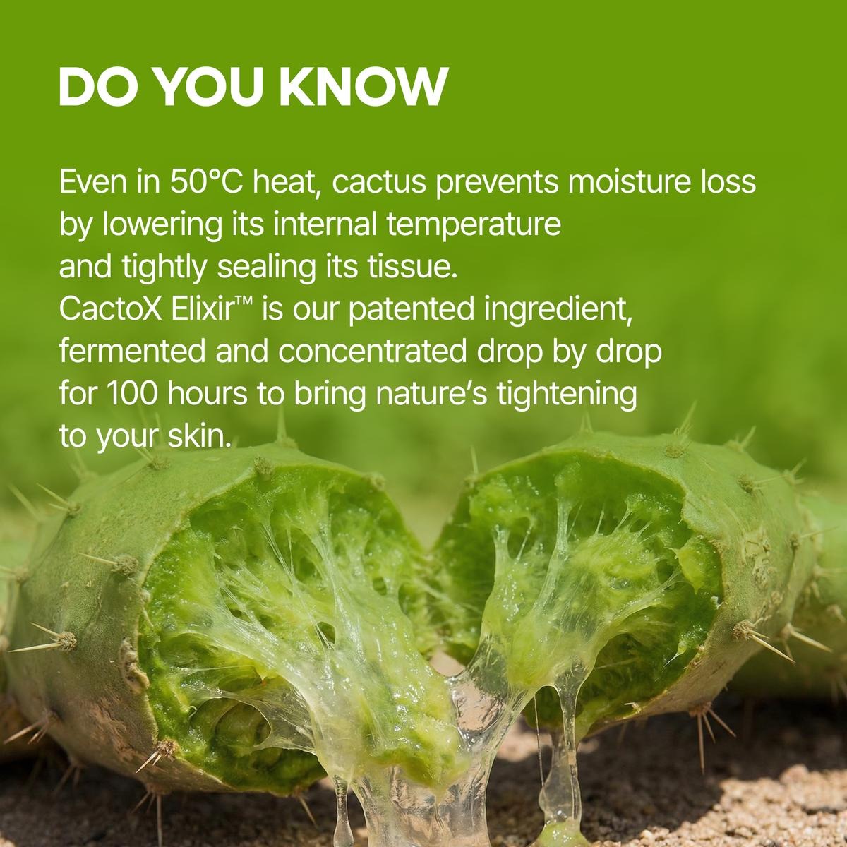 [Dr.Melaxin Official] CACTOX V-LIFTING MEWING BAND with Cactus Cooling Reduce Puffiness & Pore Tightening for Visible Pore Care Skin Repair