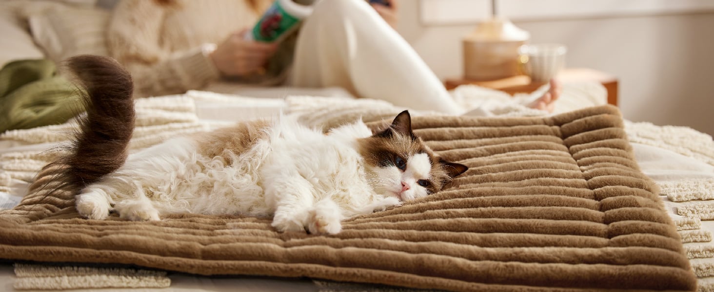 Cat lying on a brown textured mat with a person sitting in the background.