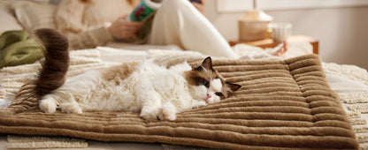 Cat lying on a brown textured mat with a person sitting in the background.