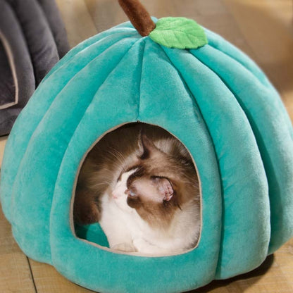 Cat peeking out from a teal pumpkin-shaped pet bed on a wooden floor.