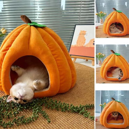 Collage of a cat inside an orange pumpkin-shaped pet bed.