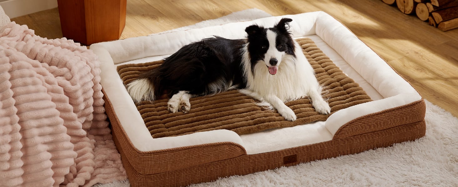 Dog lying on a brown and beige pet bed in a cozy room.