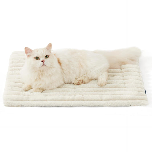 White cat lying on a plush white pet bed against a white background